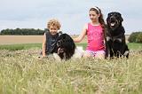 ENFANT ET CHIEN 248